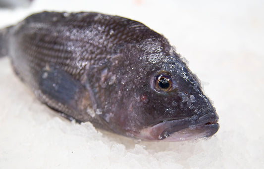 Sea Bass, Black, Whole, Gutted, Scaled, Day Boat, 1.5-2 Lbs Each, 10 Lbs Average Case, Fresh