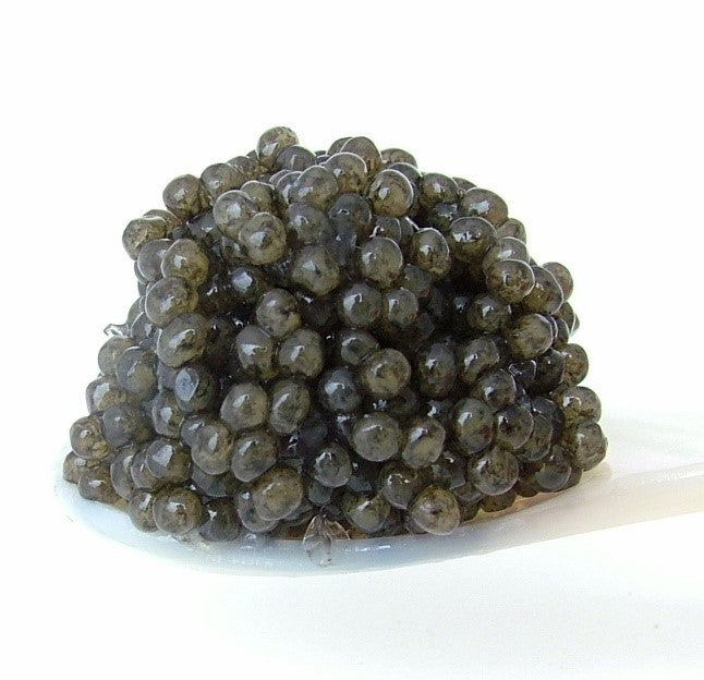 American Paddlefish Caviar (1 Oz)